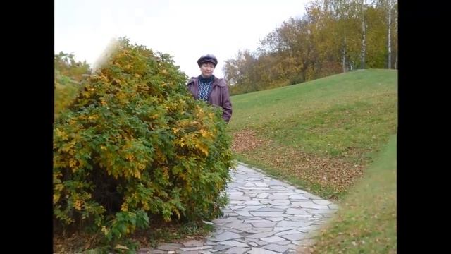 Я буду солнцем для тебя - Автор и музыка Андрей Черников поёт Ярослав Сумишевский смотреть онлайн