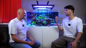 Морской Аквариум. С Чего Начать? Советы Начинающим