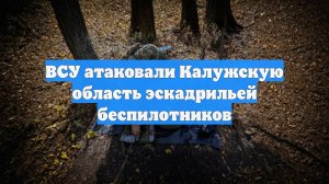 ВСУ атаковали Калужскую область эскадрильей беспилотников