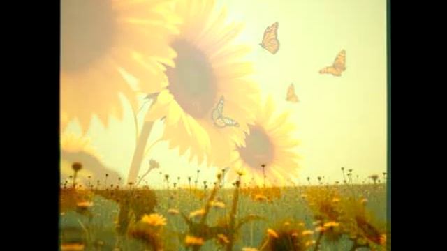 КОМЕДИЯ РОК Лето!!!!)))) смотреть онлайн