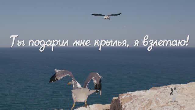 Ты подарил мне крылья, я взлетаю! смотреть онлайн