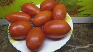 Томат Бычья сила прекрасно показал себя в теплице! Дегустация сорта.