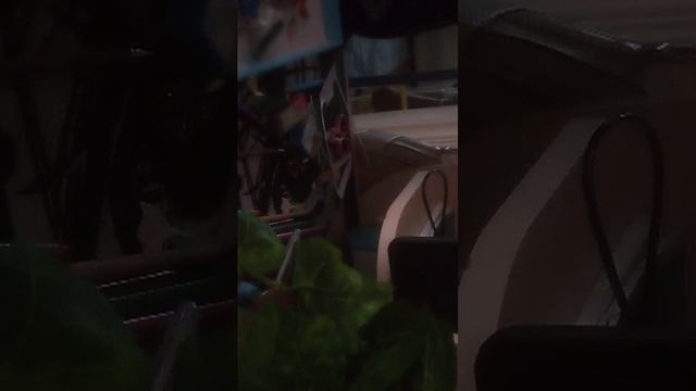 убираемся смотреть онлайн