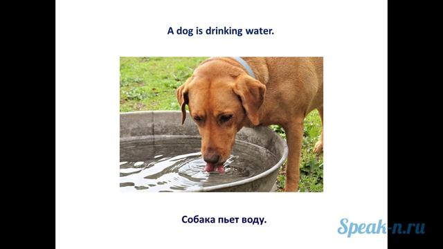 4_2_Drink Water смотреть онлайн