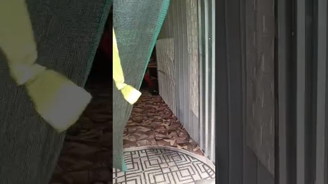 Дача смотреть онлайн