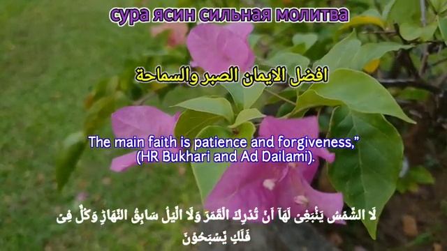 🌹Слушай ЭТУ дуа один раз и болезни исчезнут навсегда! 💯🤲🕋 ( смотреть онлайн