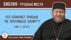 Что означает призыв "не противься злому" ? (Мф. 5:38-42)  Протоиерей Олег Стеняев