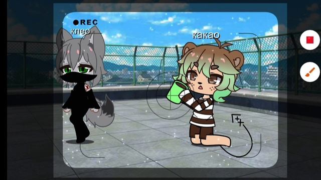 Полукровка