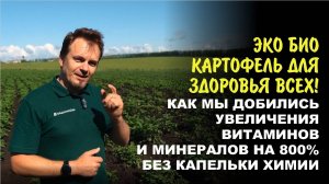 ЭкоБио картофель без химии! Секреты органического живого урожая еды +800% по витаминам и минералам