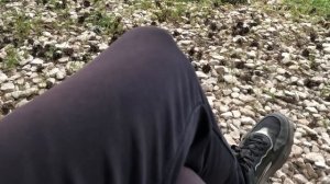 Мопеды сериал | Серия 950