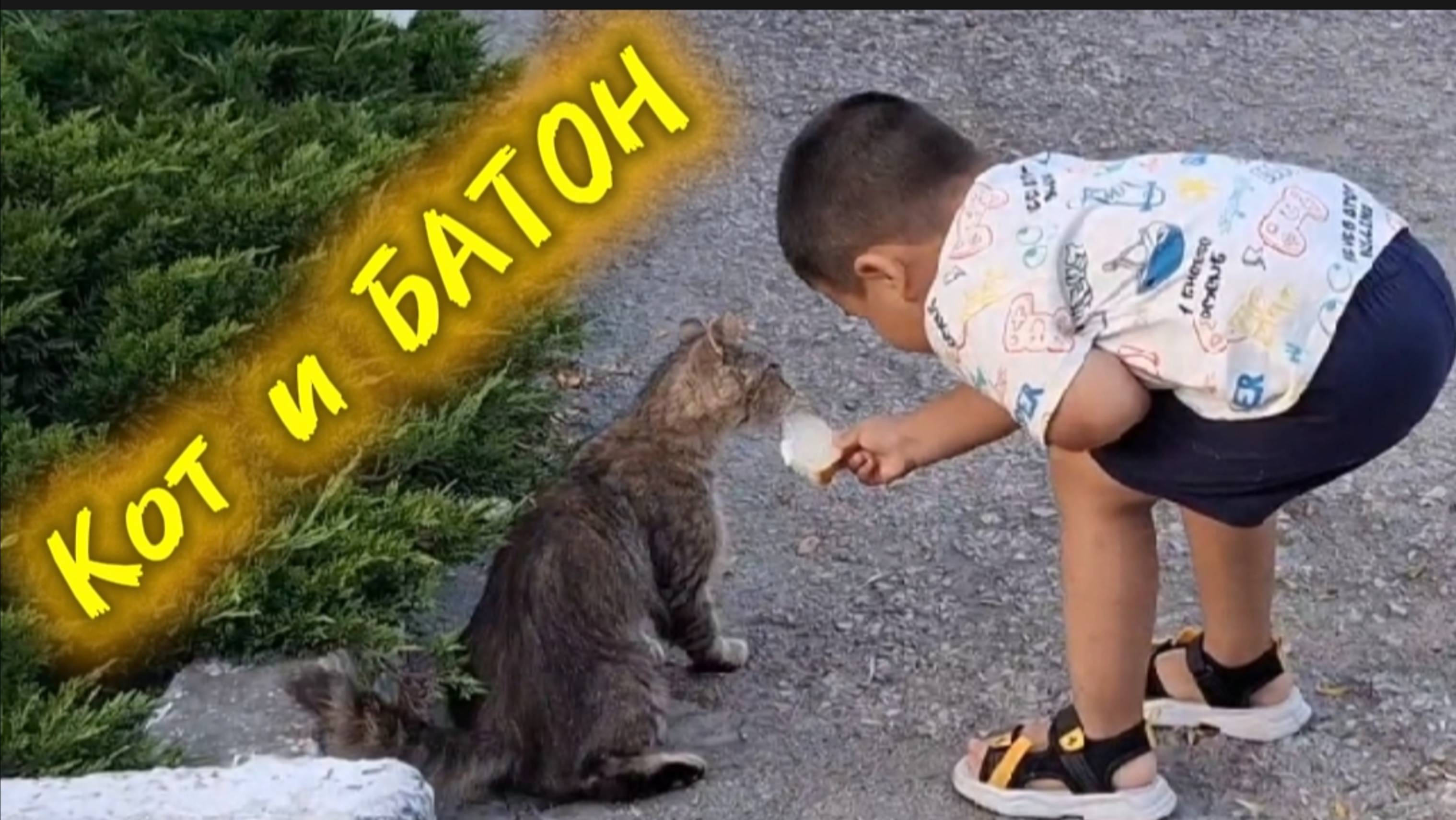 Как накормить кота батоном. Лайфхак от детей 😺✨ смотреть онлайн