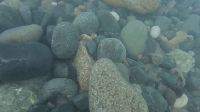 В море с головой смотреть онлайн