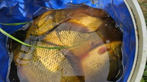 Начало отпуска. Рыбалка на Херабуну. первый опыт. Начало положено.