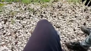 Мопеды сериал | Серия 956