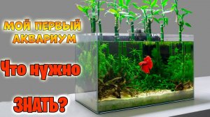 1 Мой первый аквариум! Что нужно знать？
