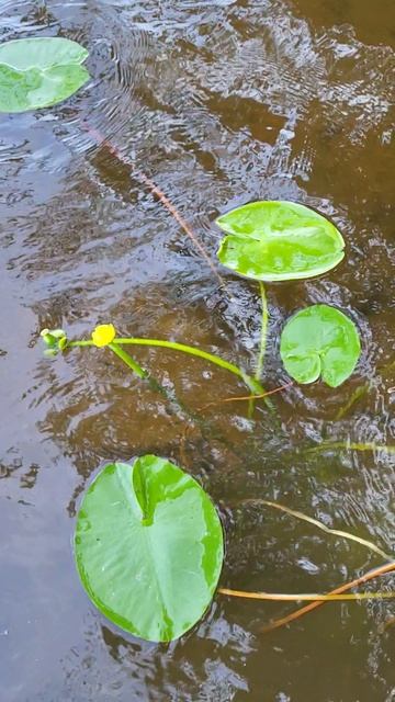 Народилась  новая ! 💞