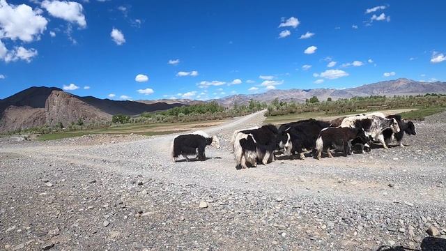 Монголия смотреть онлайн