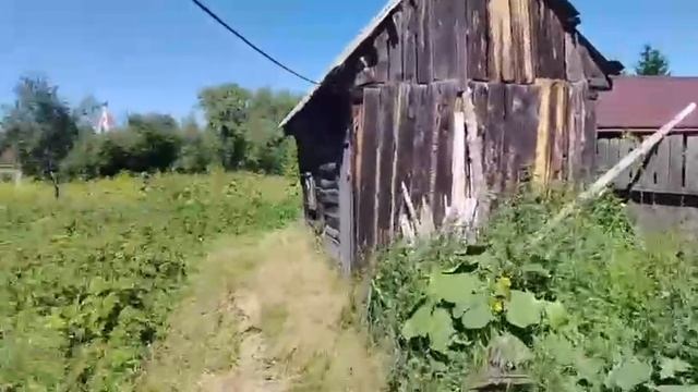 11960556 смотреть онлайн