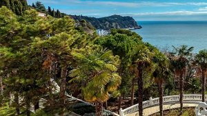 В ПАРКЕ ЧАИР