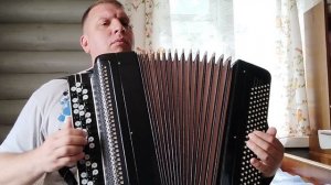 Черная смородина