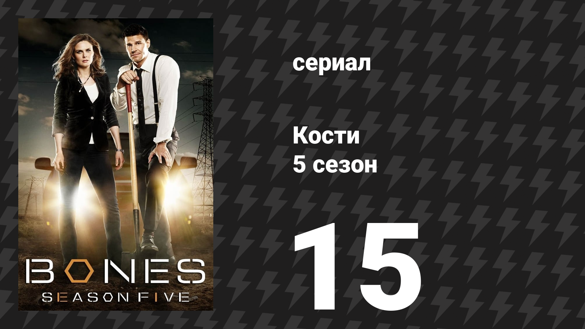 Кости 5 сезон 15 серия «Кости на голубой линии» (сериал, 2009)