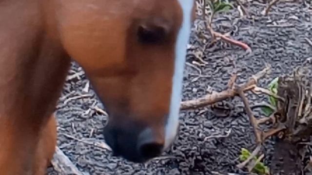 клип Энигма и Гранд смотреть онлайн