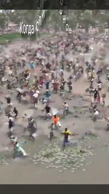 Когда слили рыбное место :) смотреть онлайн