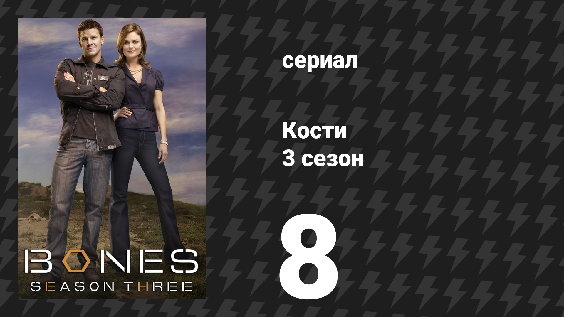 Кости 3 сезон 8 серия «Рыцарь в сетке» (сериал, 2007) смотреть онлайн
