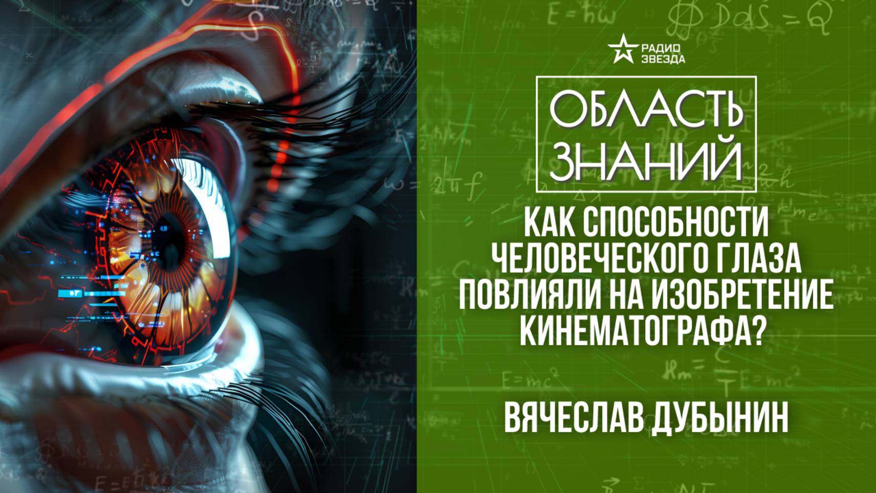 Мозг и зрение. Лекция нейробиолога Вячеслава Дубынина. смотреть онлайн