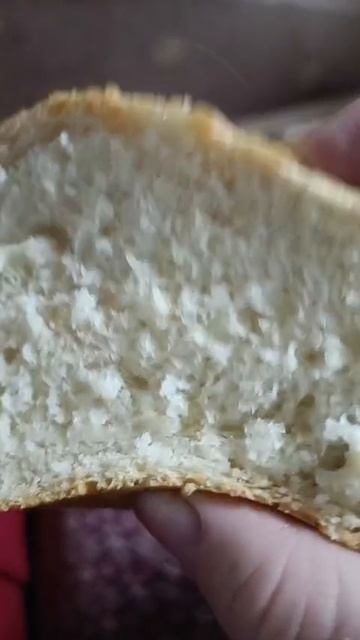 Хлебный мякиш