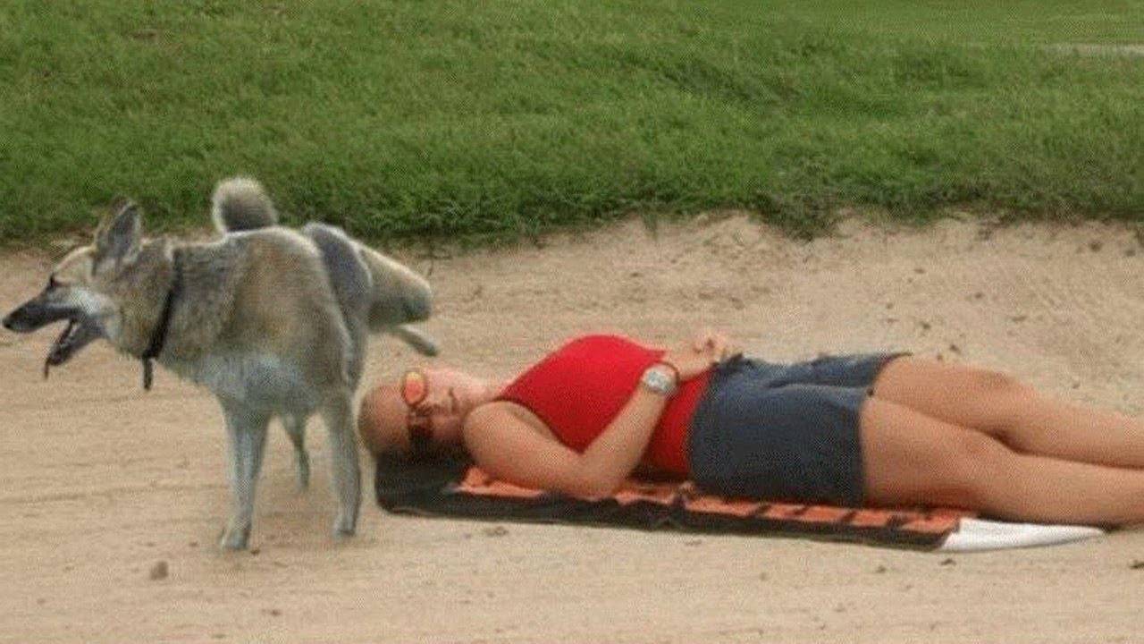 Смешные видео ● неудачные падения в воду, подборка Приколы над людьми смотреть онлайн