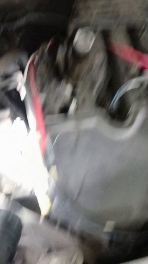 На диагностике Веста