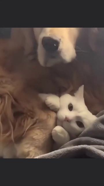 Под охраной смотреть онлайн