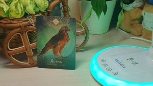 Медитация для раскрытия интуиции с духом ястреба 🦅