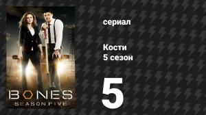 Кости 5 сезон 5 серия «Ночь в музее костей» (сериал, 2009)