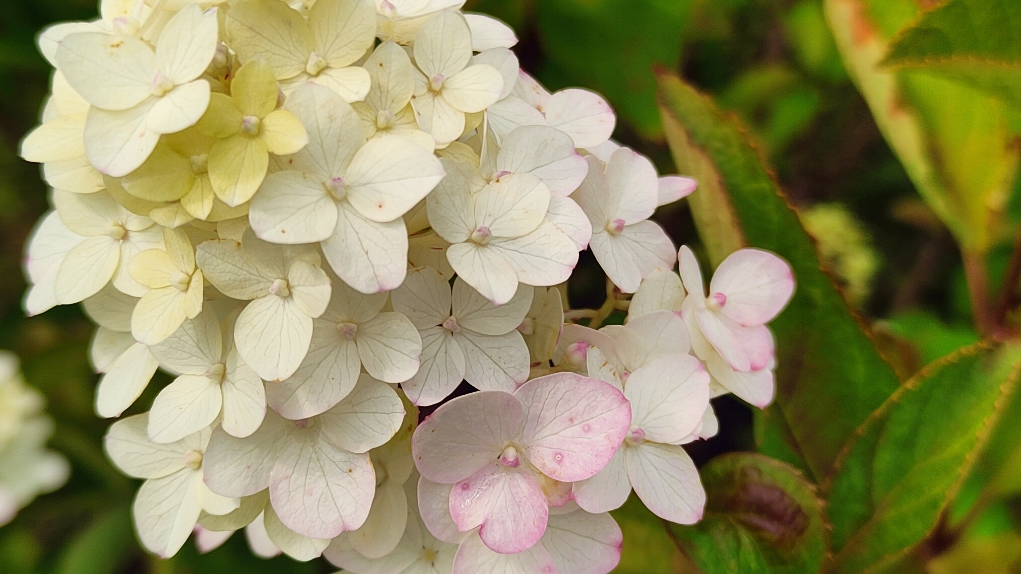 Летний влог. Рукодельная неделя июля. смотреть онлайн