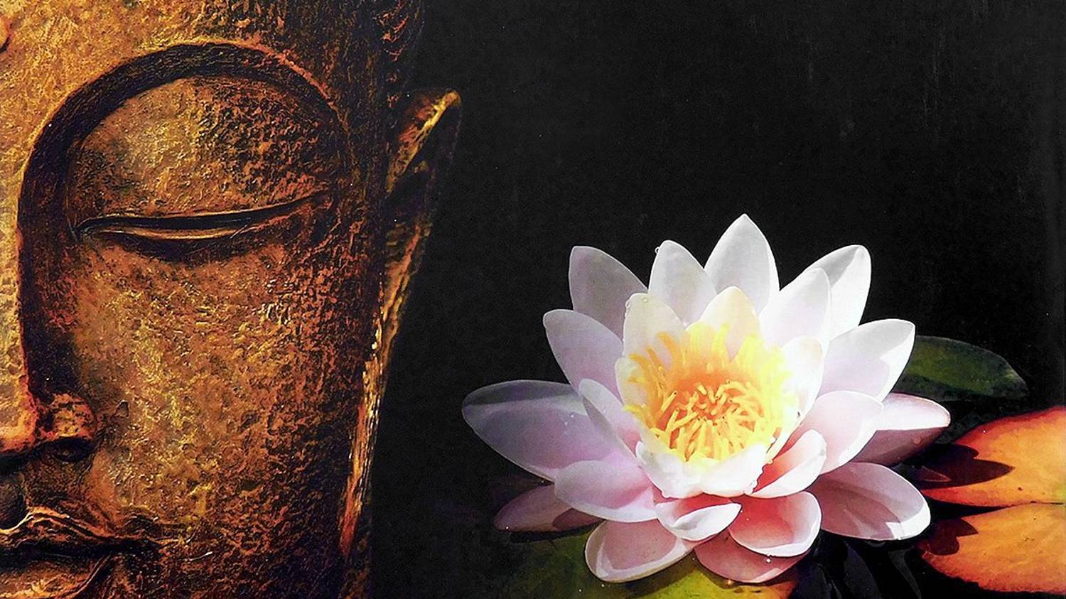 Искажающая роль эго мысли в действии Тотальности смотреть онлайн