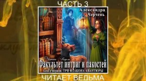 Александра Черчень «Факультет интриг и пакостей» (книга 1) «Три флакона авантюры» (часть 3)