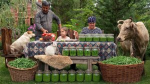 Сбор, Приготовление и Маринование Стручковой Фасоли - По-Деревенски 🌿🏡