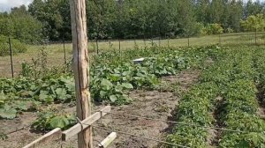 Доделываем ремонт в доме. Многое изменилось с момента выхода последнего видео.