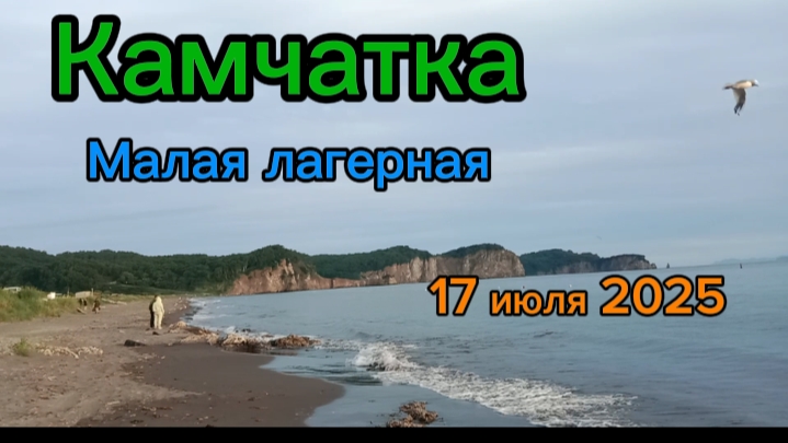 Камчатка. Малая лагерная 17 июля 2025 | Путешествие по Камчатке смотреть онлайн