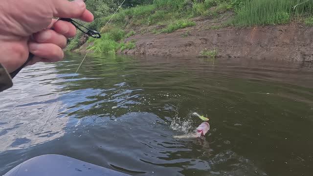 рыбалка 2025 река унжа