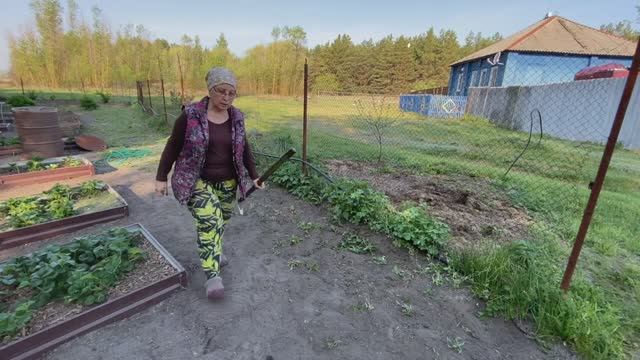 Архив: Плоскорез наше всё! Для чего он мне нужен. Испекла пирог смотреть онлайн