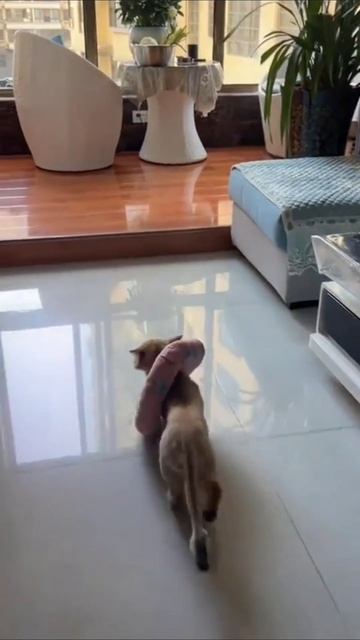 Звезда! смотреть онлайн