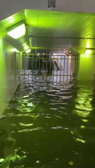 МЦД Павшино - как безопасно пройти без лодки на работу? смотреть онлайн