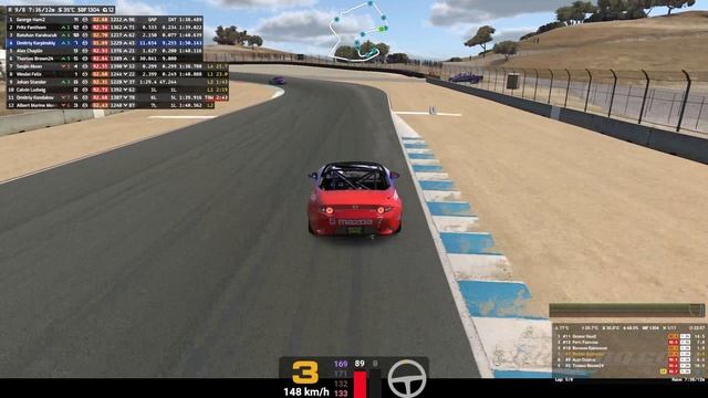 IRacing