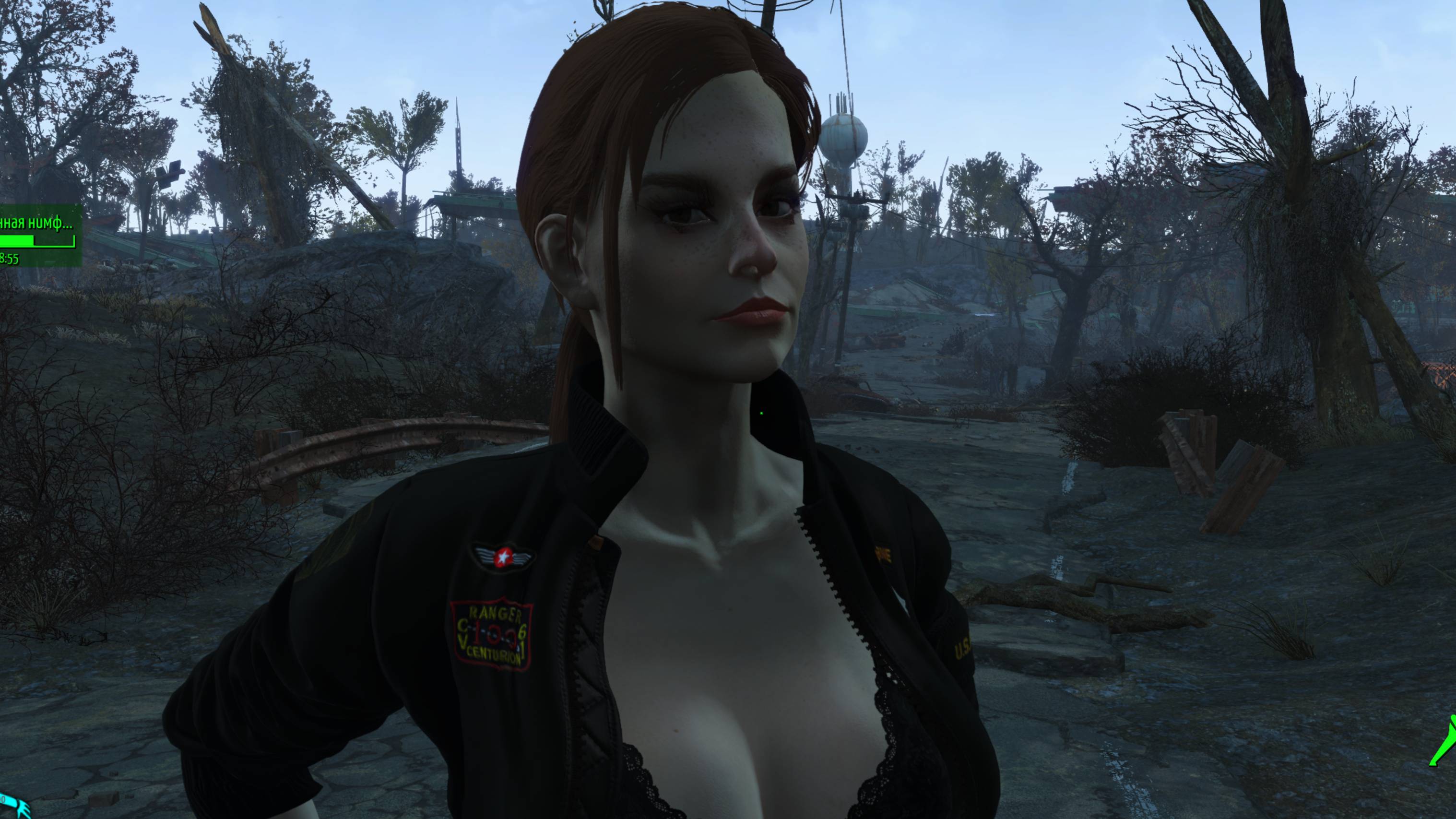 Fallout 4 2025.07.21 - 16.11.32.01