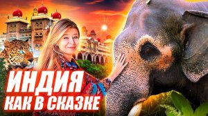 Индия как в сказке: Замки Раджастана, разноцветные города и ночёвка со слоном