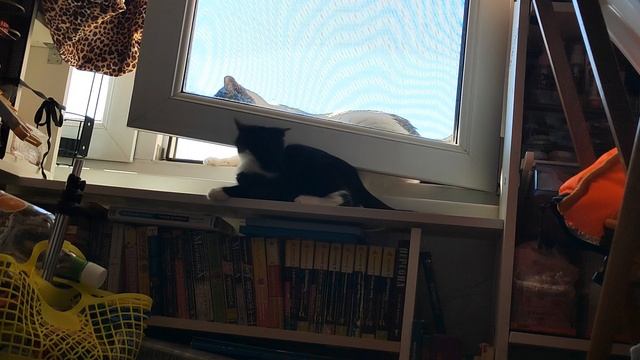 Игры на окне) .mp4