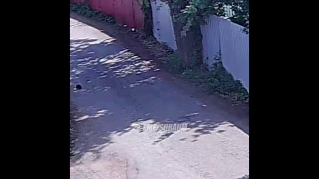 ВОЙНА КОЛЁС\\подборка ДТП\ смотреть онлайн